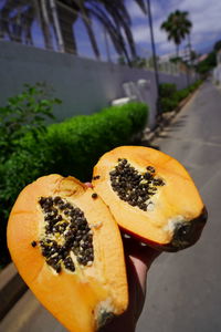 Close-up of hand holding orange