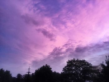 Low angle view of trees against sky