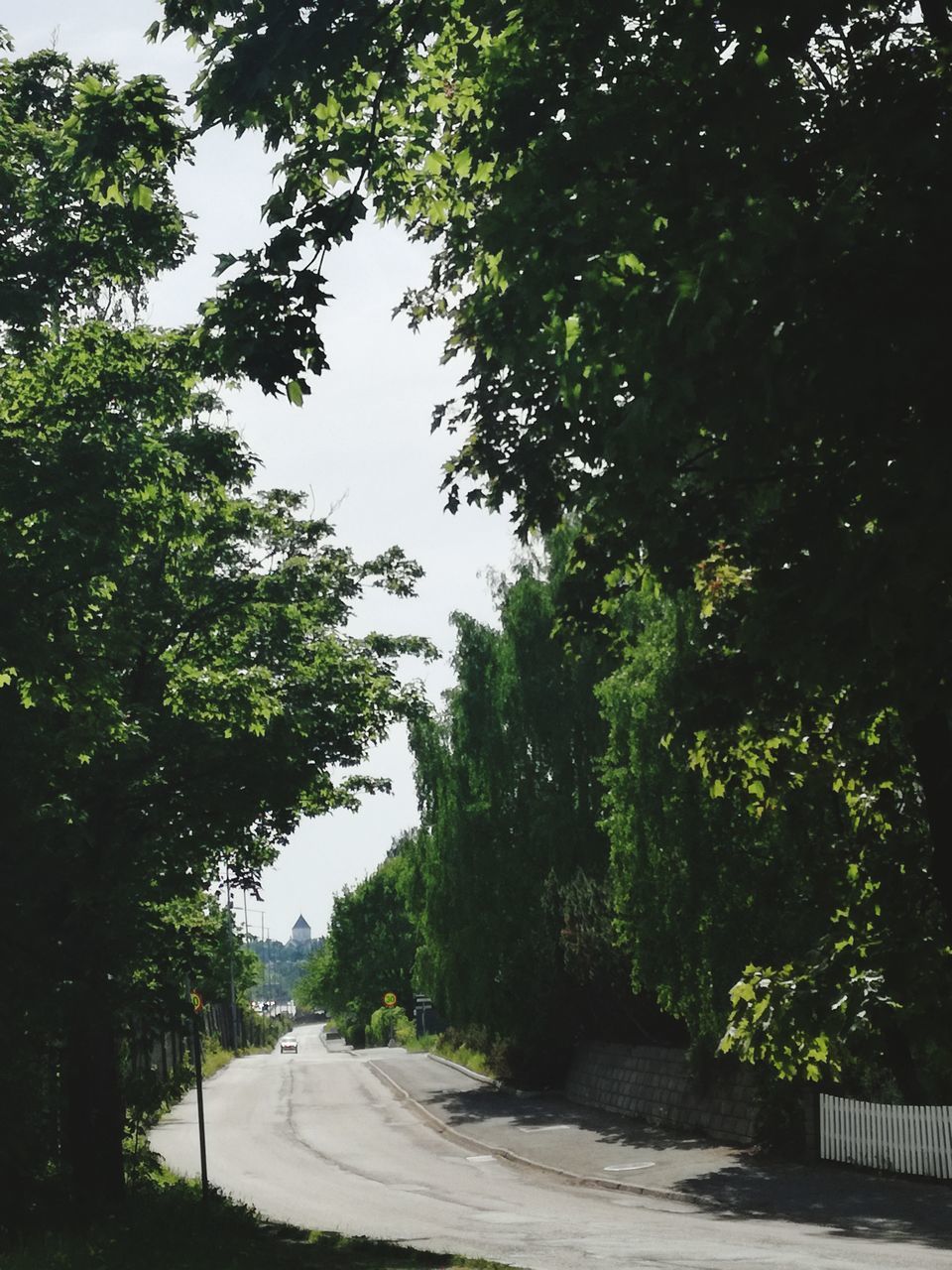 STREET AMIDST TREES AGAINST SKY