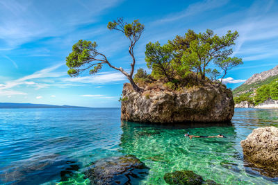 Man snorkeling in adriatic sea in front of brela stone