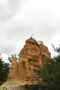 Low angle view of a rock