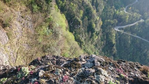 High angle view of rocks by trees on mountain