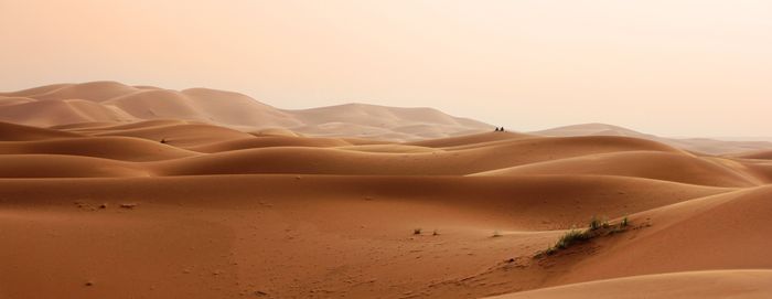 Scenic view of desert against clear sky during sunset