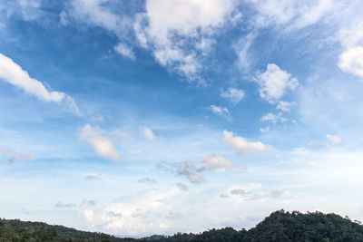 Low angle view of trees against sky