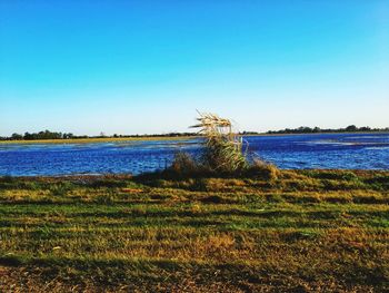 Scenic view of lake against clear blue sky