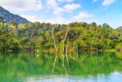 Scenic view of lake by trees against sky