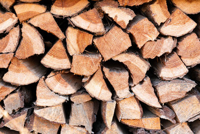 Full frame shot of logs in forest