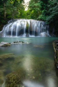 Scenic view of waterfall in forest