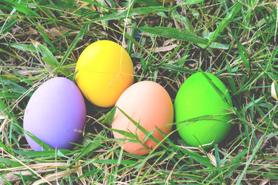 Close-up of multi colored eggs in grass