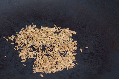 High angle view of dry leaf against black background