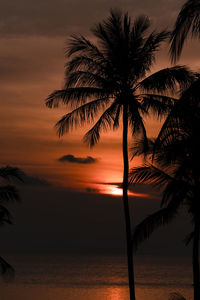 Silhouette palm tree by sea against sky during sunset