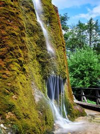 Waterfall in forest