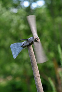 Low angle view of spinning weather vane on wooden pole against tree