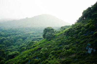 Scenic view of mountains