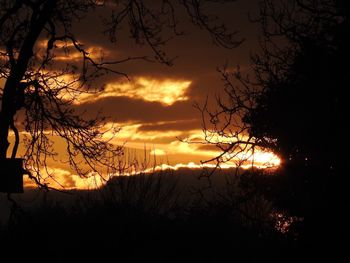 Silhouette trees against sky during sunset