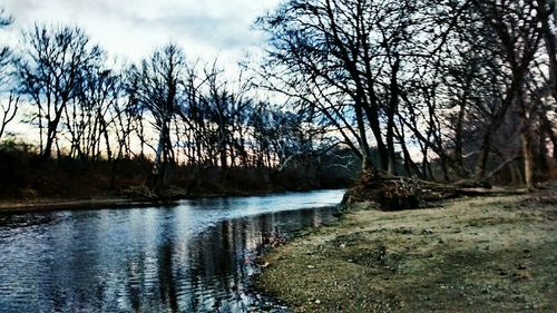 Reflection of trees in lake