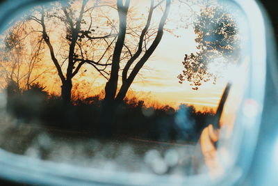 Reflection of trees on side-view mirror