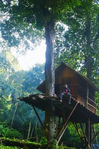 Man standing by tree in forest