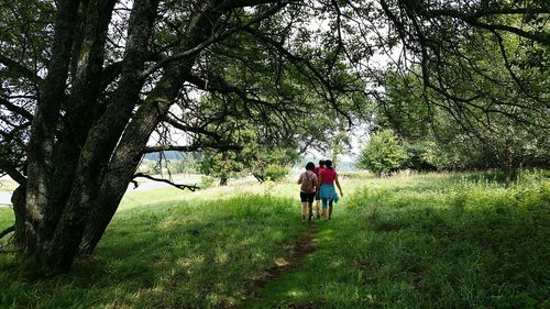 Rear view of people walking in forest