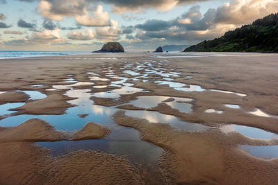 Arcadia beach, oregon. low tide on the oregon coast near cannon beach. 