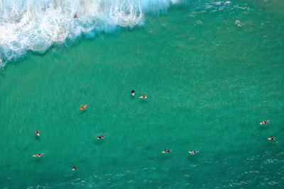 Aerial view of people swimming in sea