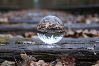 Close-up of crystal ball on wooden surface