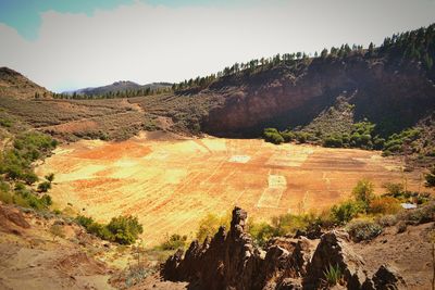 Scenic view of landscape