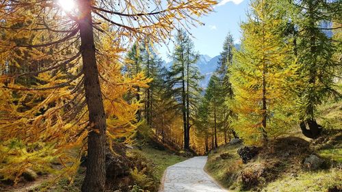 Alpe devero italy eyeem best shots eyeem nature lover eyeem gallery eye4photography