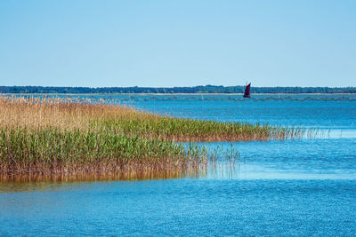 Scenic view of sea against clear sky