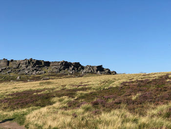 Scenic view of field against clear sky