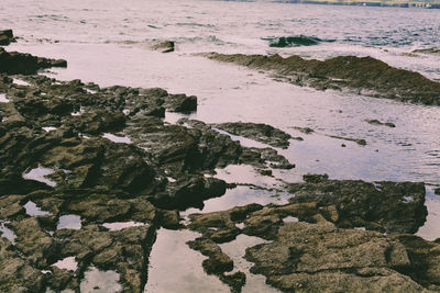 High angle view of rocks on shore at beach