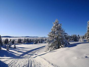 Snow covered field against clear blue sky