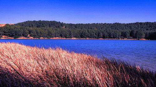 Scenic view of lake against clear blue sky