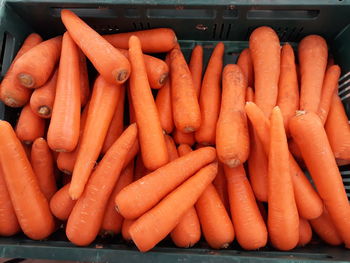 Close-up of carrots in market stall