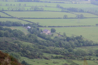 High angle view of trees on field
