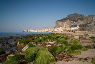 Scenic view of sea against clear sky