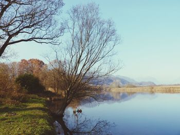 Bare trees by lake against sky