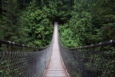 Empty footbridge against trees in forest