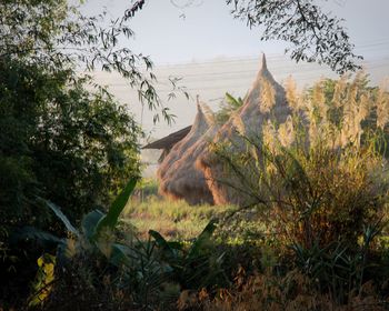 Scenic view of landscape
