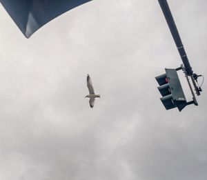 Low angle view of airplane flying in sky