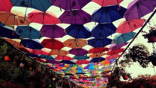 Low angle view of colorful lanterns