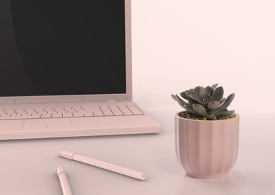 Close-up of potted plant on table