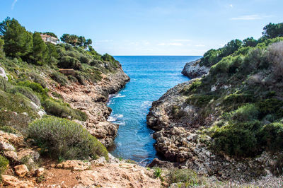 Scenic view of sea against blue sky