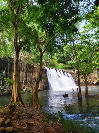 Scenic view of waterfall in forest