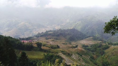 Scenic view of landscape against sky