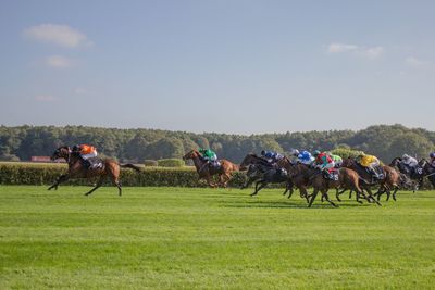 Horse racing on field