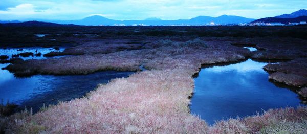 Scenic view of landscape against sky