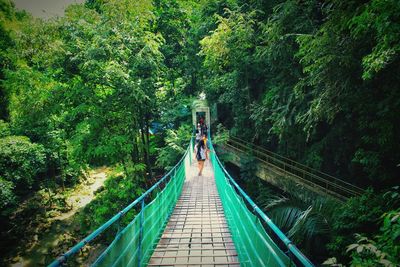 Rear view of people walking on footbridge in forest