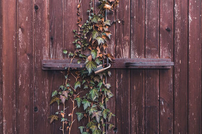 Close-up of closed wooden door