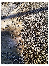 Full frame shot of pebbles on beach